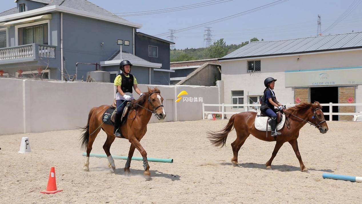 马术比赛选手与坐骑默契合作获胜 马术比赛选手与坐骑默契合作获胜